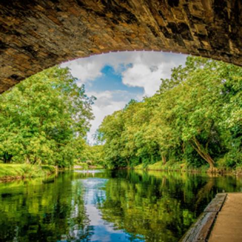 image bridge_hr_0012-jpg