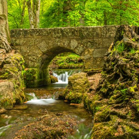 image bridge_hr_0013-jpg