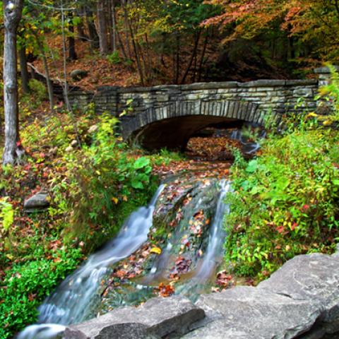 image bridge_hr_0015-jpg