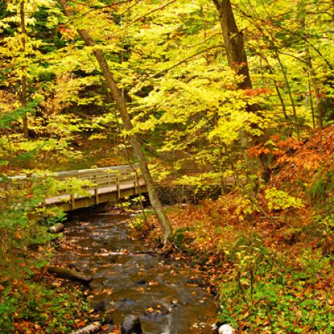 image bridge_hr_0016-jpg