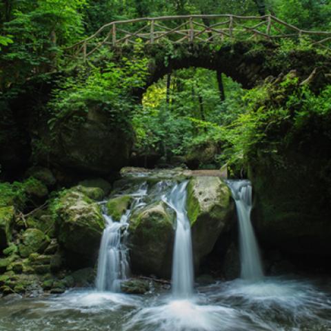 image bridge_hr_0017-jpg