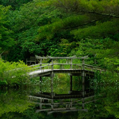 image bridge_hr_0018-jpg
