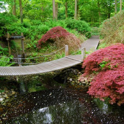 image bridge_hr_0020-jpg