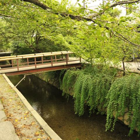 image bridge_hr_0021-jpg