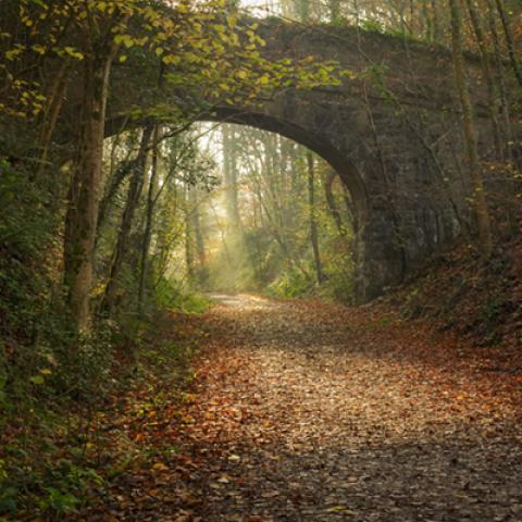 image bridge_lr_0001-jpg