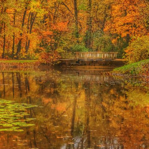 image bridge_lr_0003-jpg