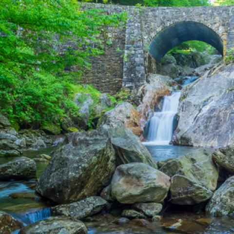 image bridge_lr_0006-jpg
