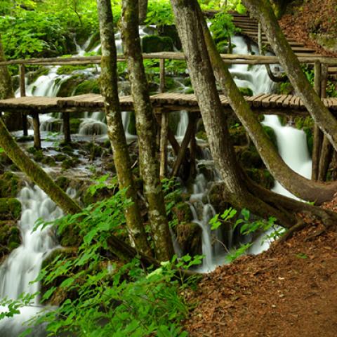 image bridge_lr_0011-jpg