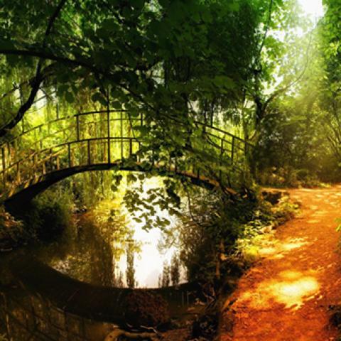 image bridge_lr_0012-jpg