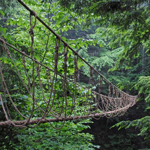 image bridge_lr_0013-jpg