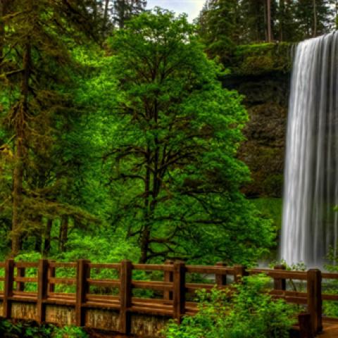image bridge_lr_0015-jpg