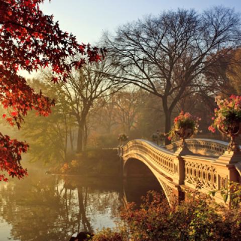 image bridge_lr_0016-jpg