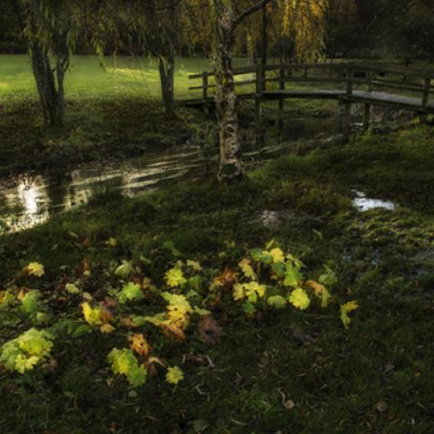 image bridge_lr_0017-jpg