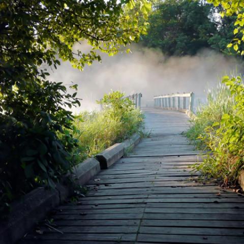 image bridge_lr_0019-jpg