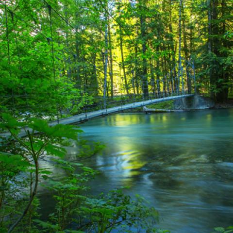 image bridge_lr_0020-jpg