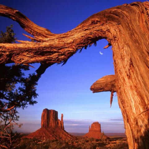 image caves_and_canyons_lr_0035-jpg