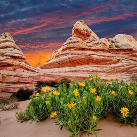 image caves_and_canyons_lr_0037-jpg