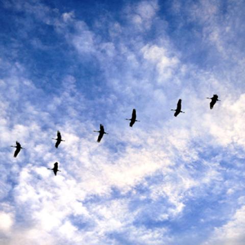 image clouds_hr_0002-jpg