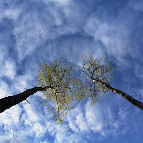 image clouds_hr_0003-jpg
