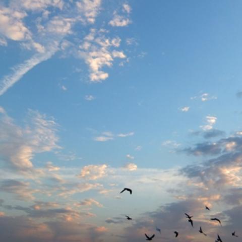 image clouds_hr_0013-jpg