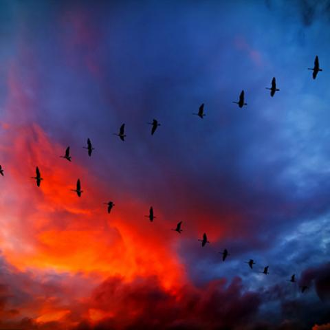image clouds_lr_0013-jpg