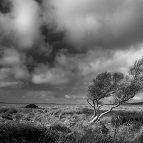 image clouds_lr_0014-jpg
