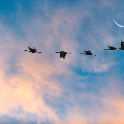 image clouds_lr_0015-jpg