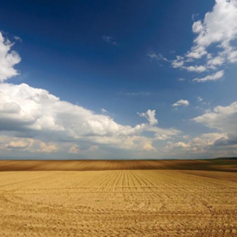 image clouds_lr_0025-jpg