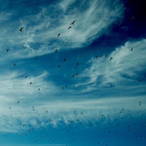 image clouds_lr_0029-jpg
