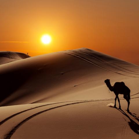 image desert_hr_0002-jpg