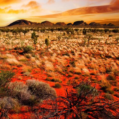 image desert_hr_0003-jpg