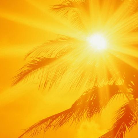 image desert_hr_0004-jpg