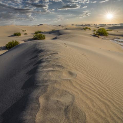 image desert_lr_0004-jpg