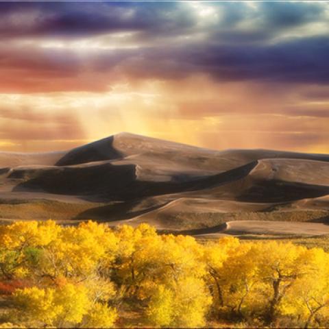 image desert_lr_0005-jpg