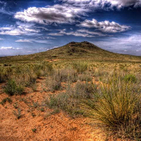 image desert_lr_0006-jpg