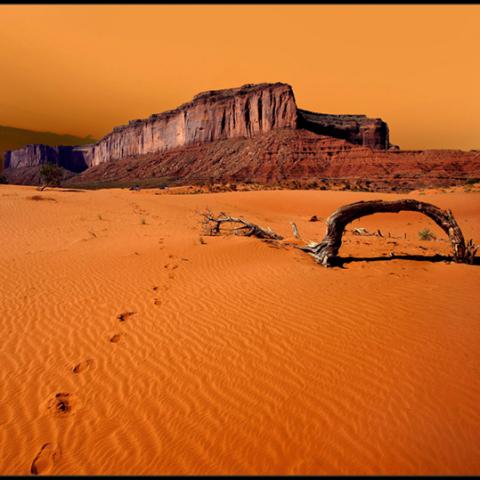 image desert_lr_0007-jpg