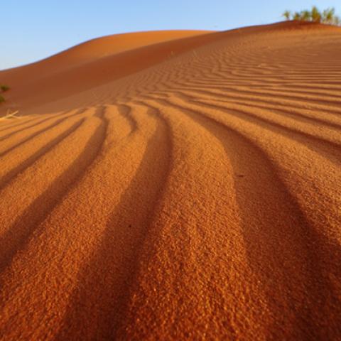 image desert_lr_0008-jpg
