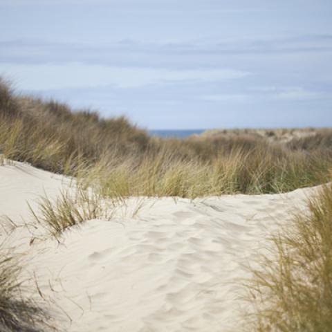 image desert_lr_0011-jpg