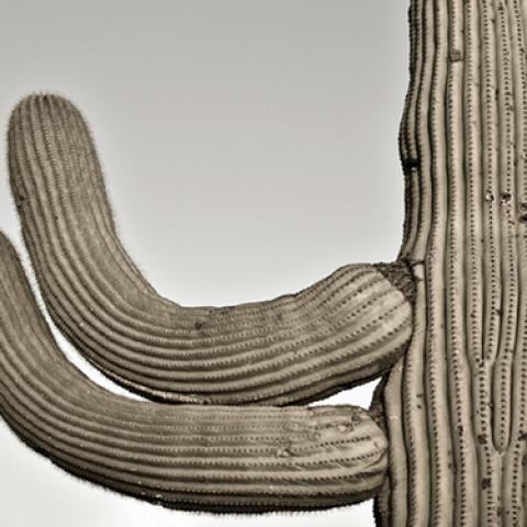 image desert_lr_0016-jpg