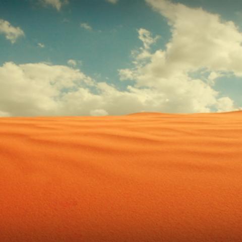 image desert_lr_0017-jpg