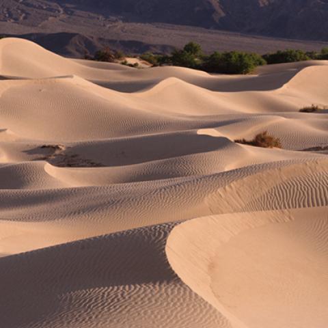 image desert_lr_0018-jpg