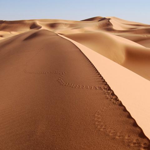 image desert_lr_0020-jpg