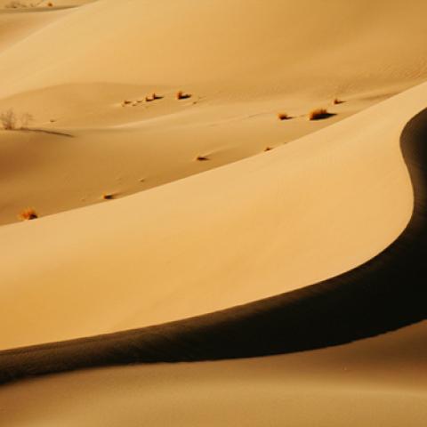 image desert_lr_0021-jpg