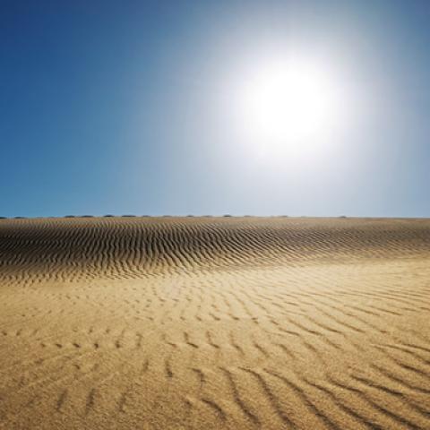 image desert_lr_0022-jpg