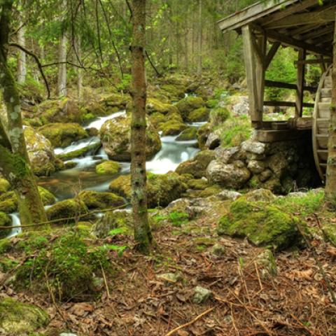 image farms_and_houses_hr_0008-jpg