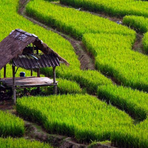 image farms_and_houses_hr_0009-jpg