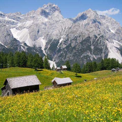 image farms_and_houses_hr_0010-jpg