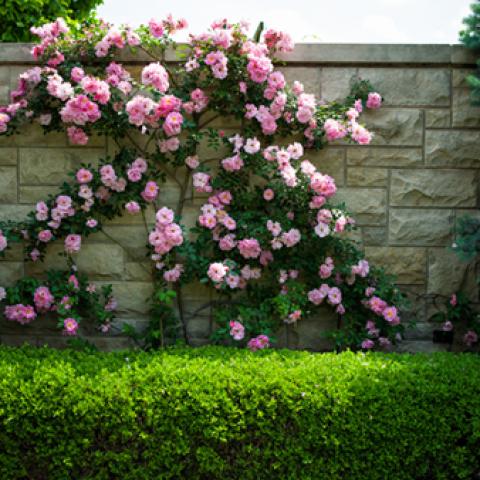 image farms_and_houses_lr_0005-jpg
