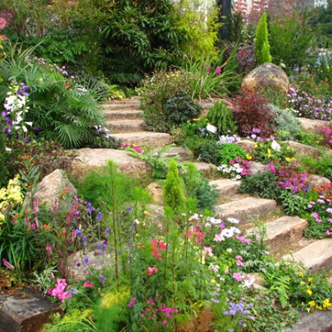 image farms_and_houses_lr_0007-jpg