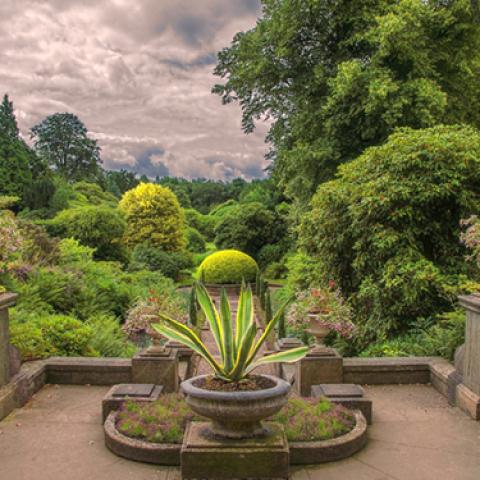 image farms_and_houses_lr_0009-jpg